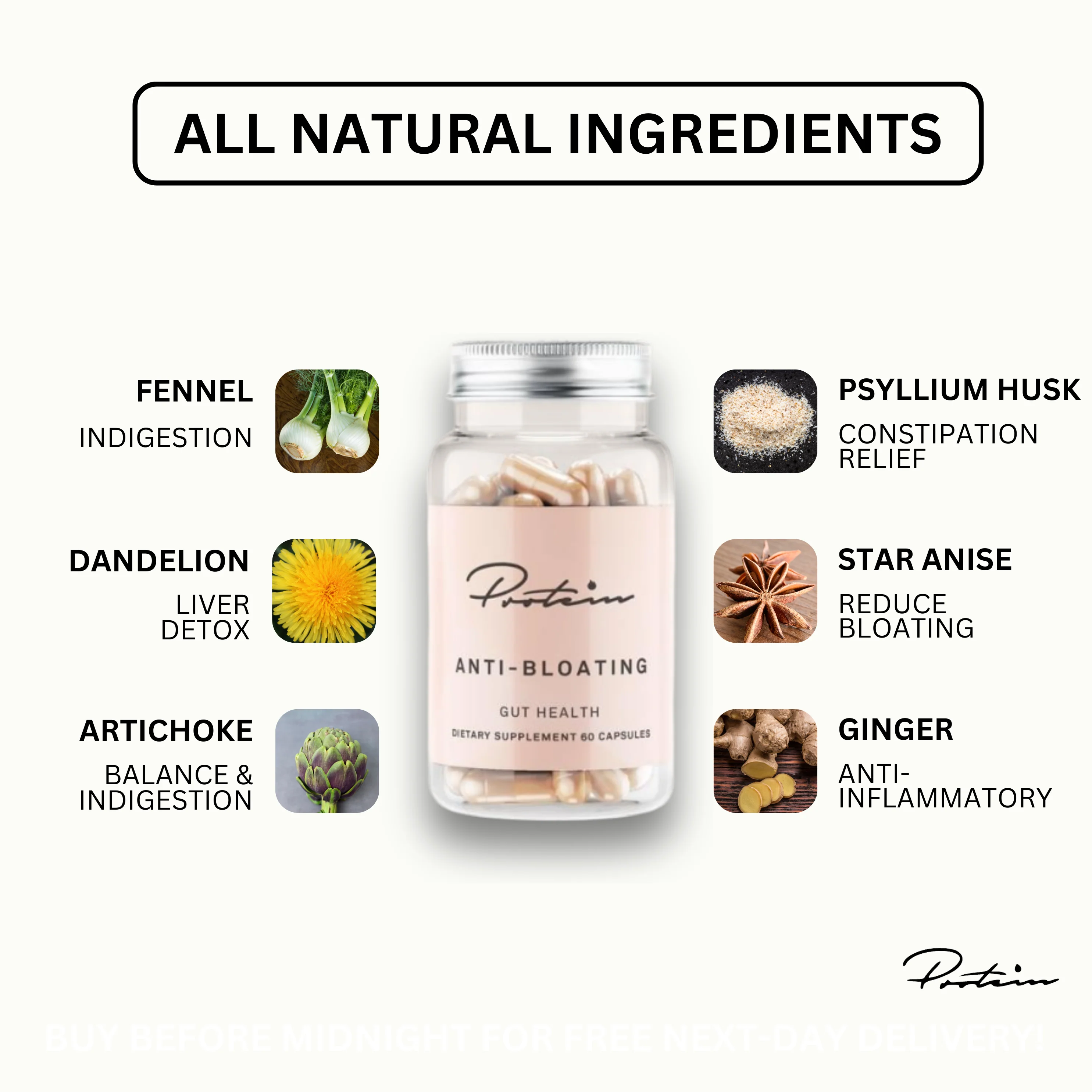 Anti-Bloat & Digestion | 60 Capsules - Image 4